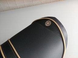 Yamaha4